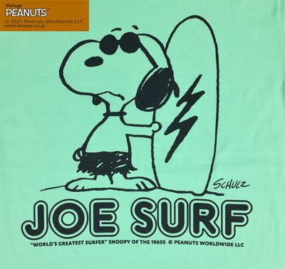 BUDDY 別注 PEANUTS スヌーピー JOE COOL Tシャツ JOE SURF メロン